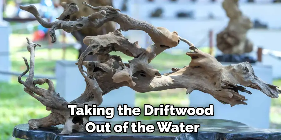 Taking the Driftwood Out of the Water