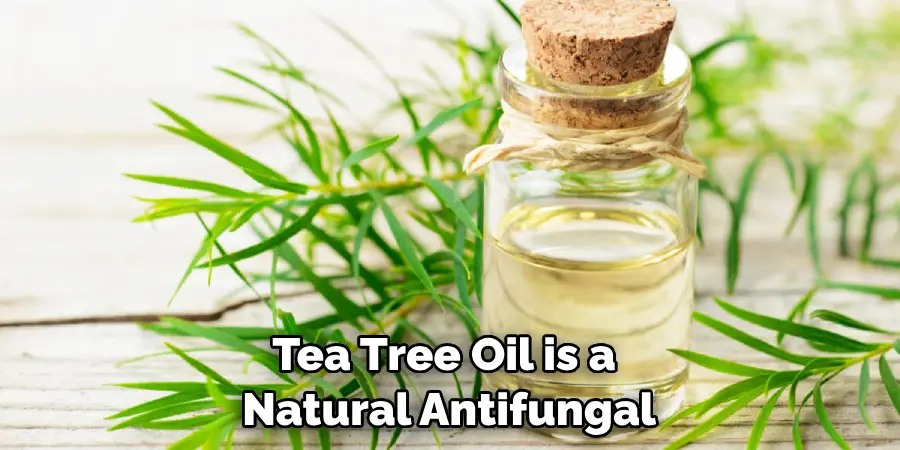 Tea Tree Oil is a Natural Antifungal