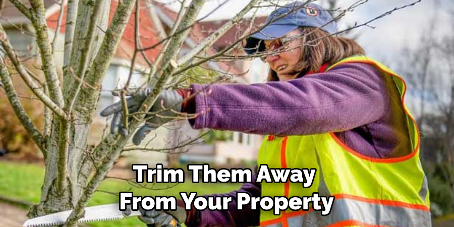 Trim Them Away From Your Property