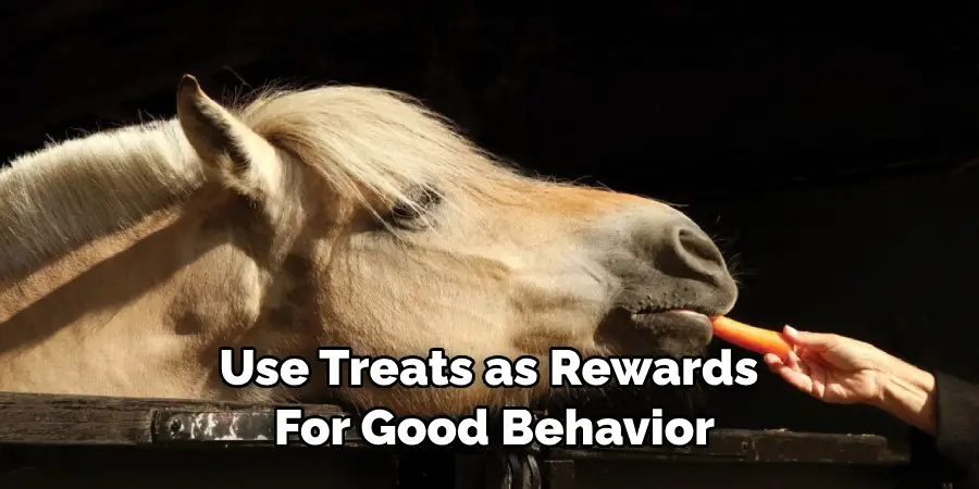 Use Treats as Rewards for Good Behavior
