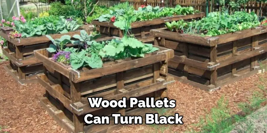 Wood Pallets Can Turn Black