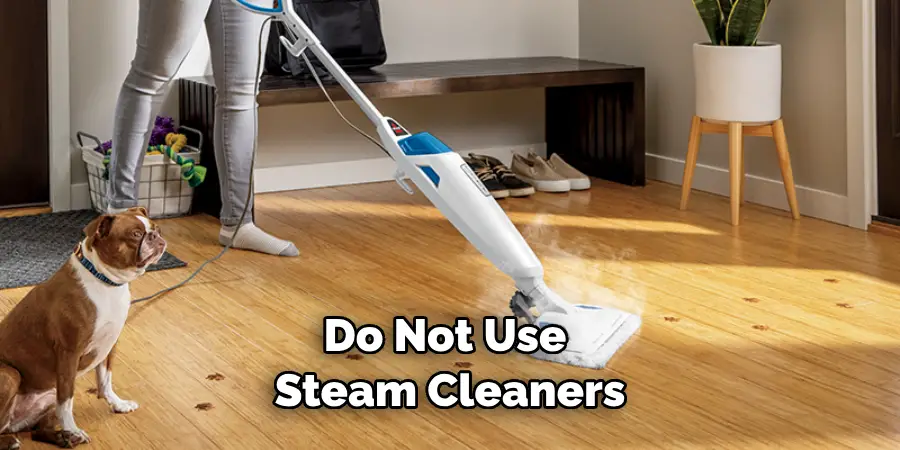 Do Not Use Steam Cleaners