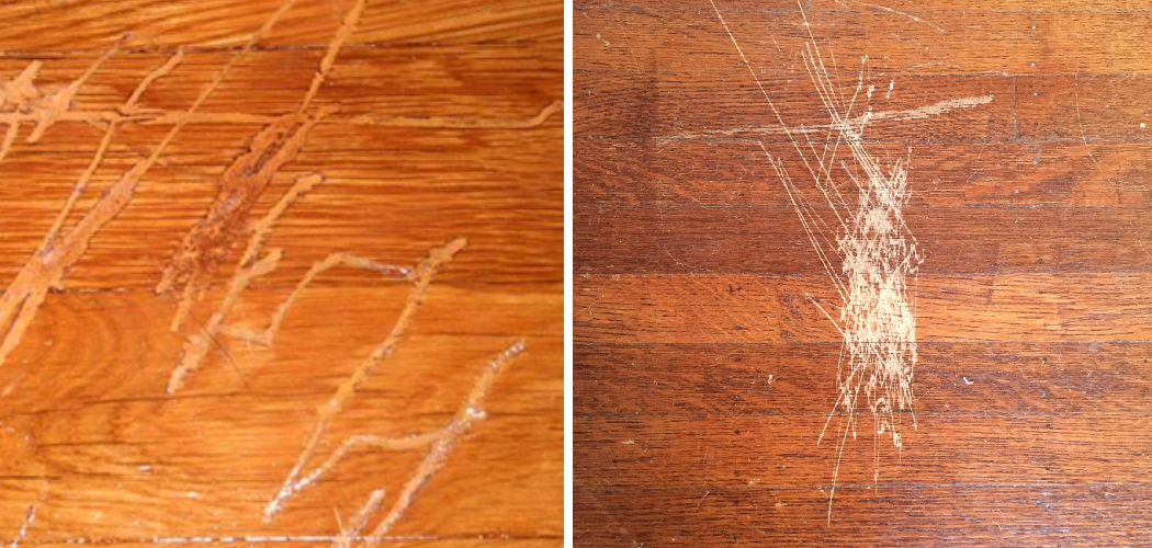 Engineered Hardwood Scratches At Sandra Anker Blog Engineered Hardwood Scratches At Sandra Anker Blog