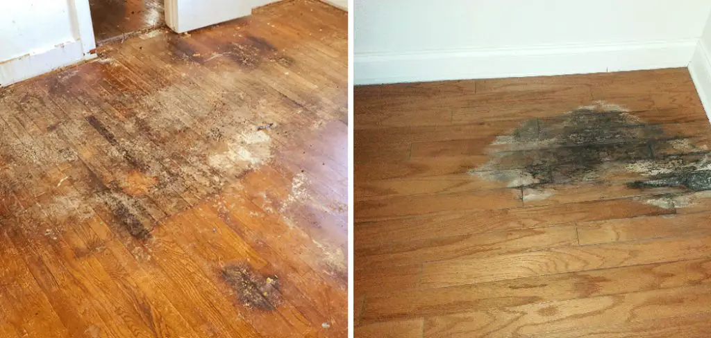 How to Remove Water Damage From Hardwood Floors