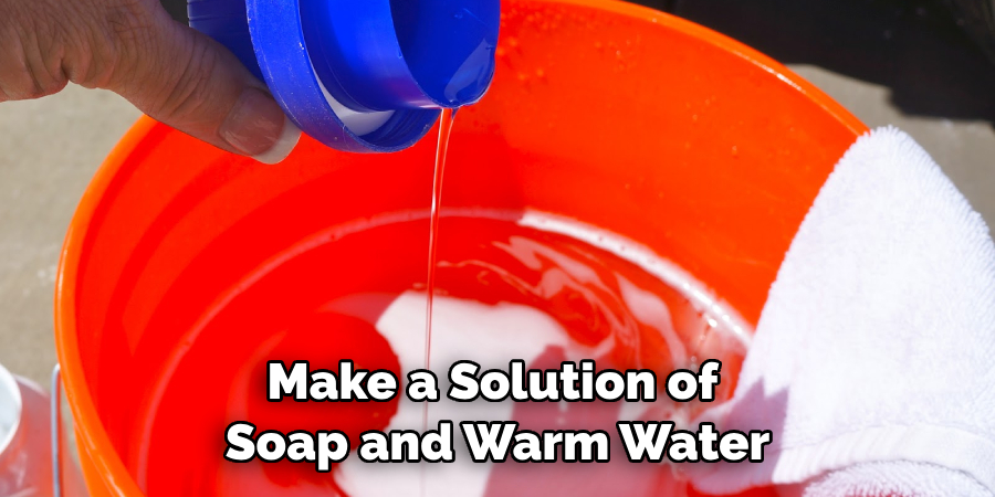 Make a Solution of Soap and Warm Water