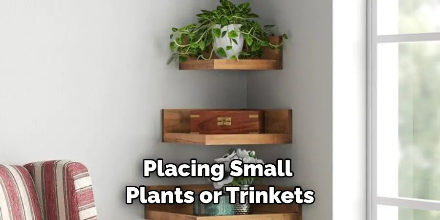 Placing Small Plants or Trinkets