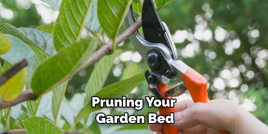 Pruning Your Garden Bed