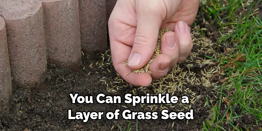 You Can Sprinkle a Layer of Grass Seed