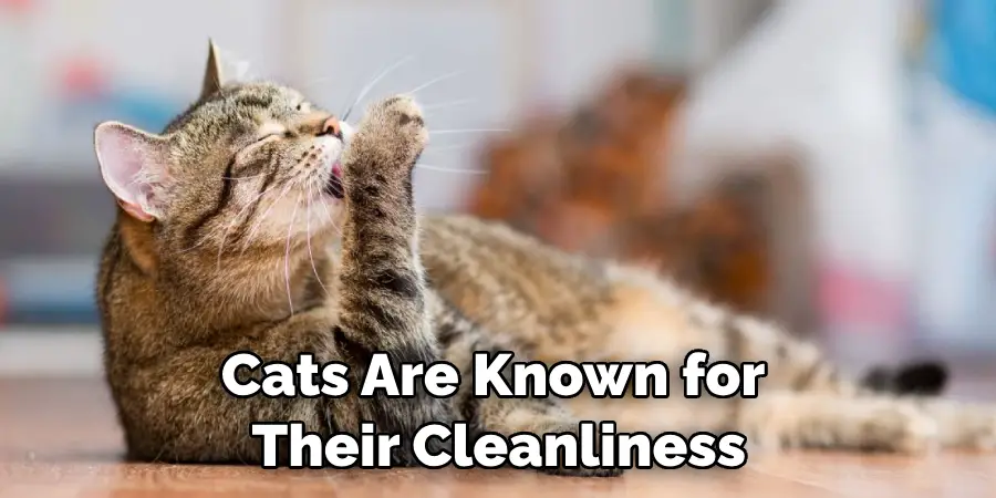 Cats Are Known for Their Cleanliness