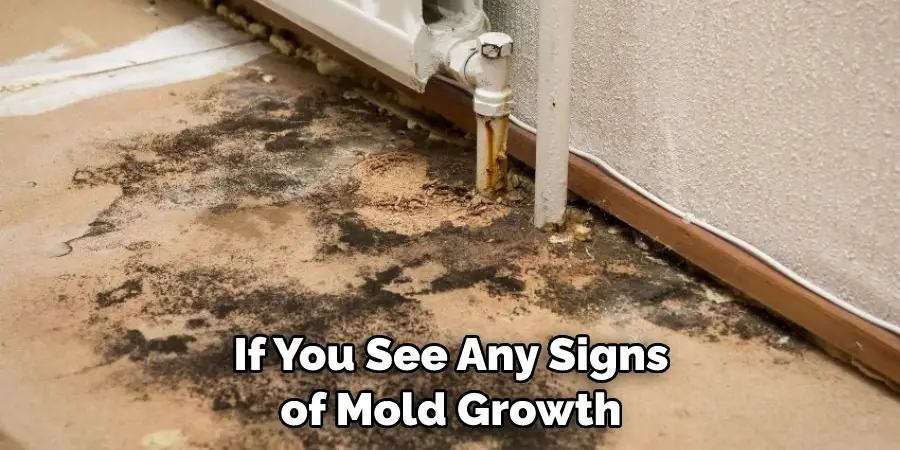 If You See Any Signs of Mold Growth