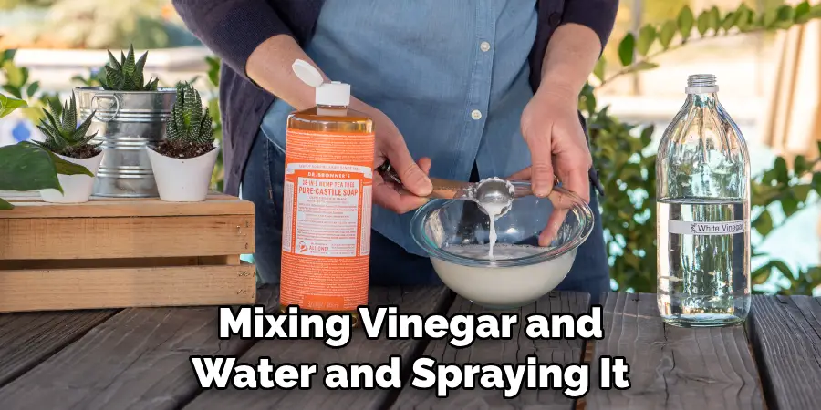  Mixing Vinegar and Water and Spraying It