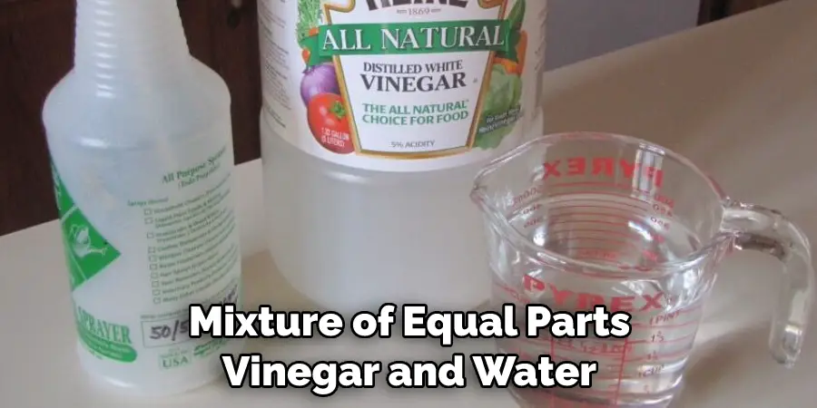 Mixture of Equal Parts Vinegar and Water
