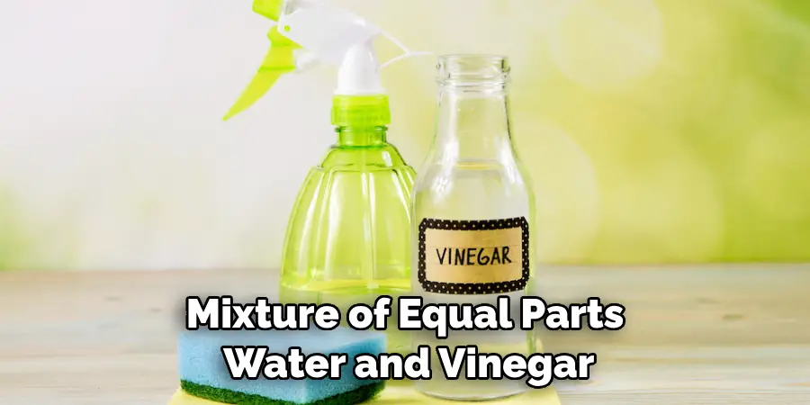 Mixture of Equal Parts Water and Vinegar
