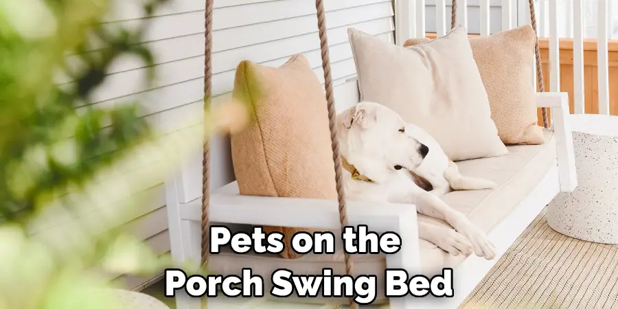 Pets on the Porch Swing Bed