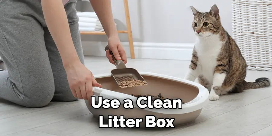  Use a Clean Litter Box