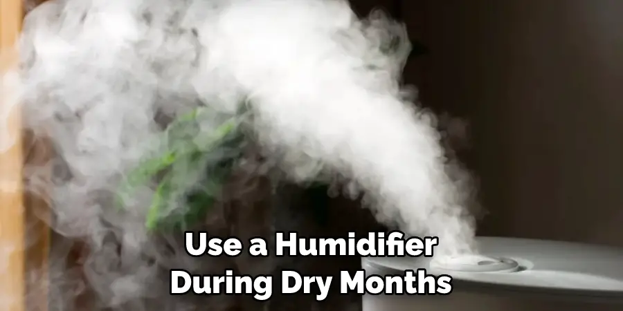 Use a Humidifier During Dry Months