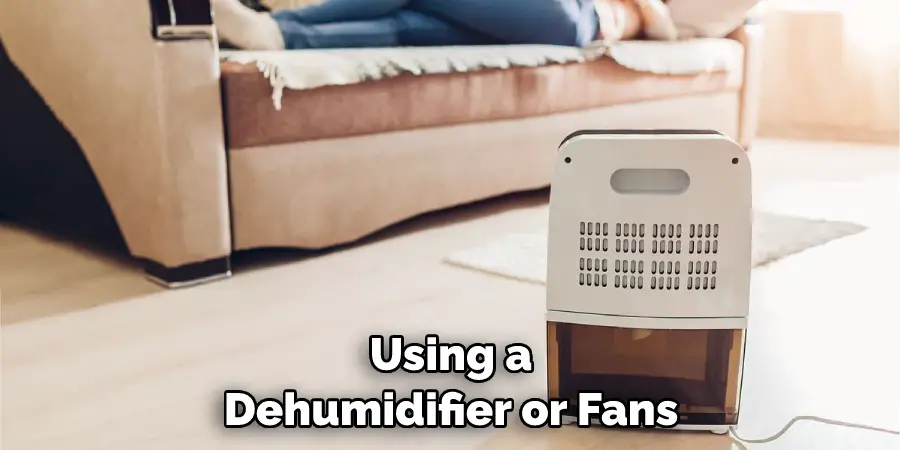 Using a Dehumidifier or Fans