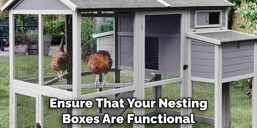 Ensure That Your Nesting Boxes Are Functional