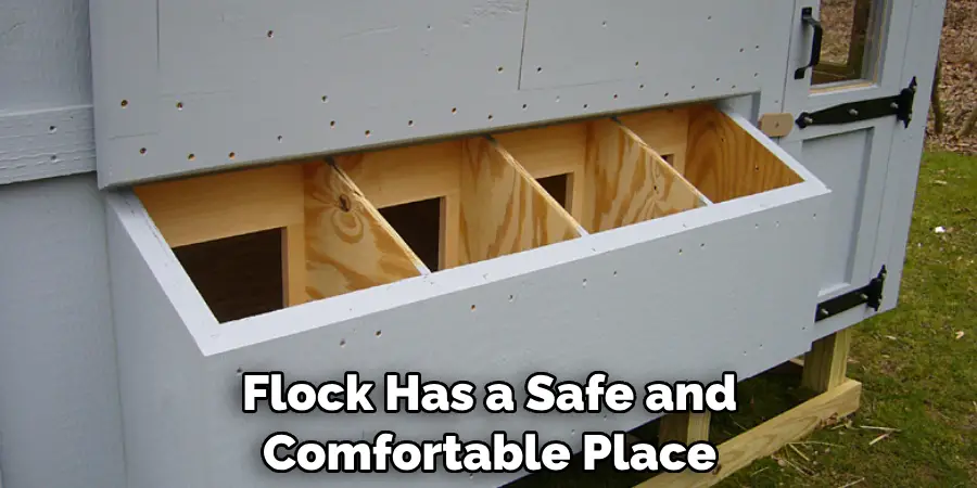 Flock Has a Safe and Comfortable Place