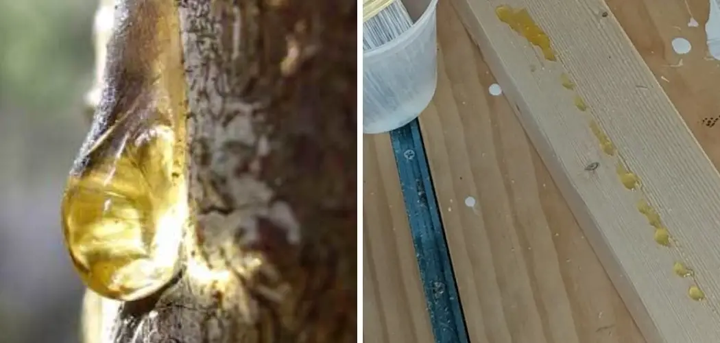 How to Remove Sap From Decking