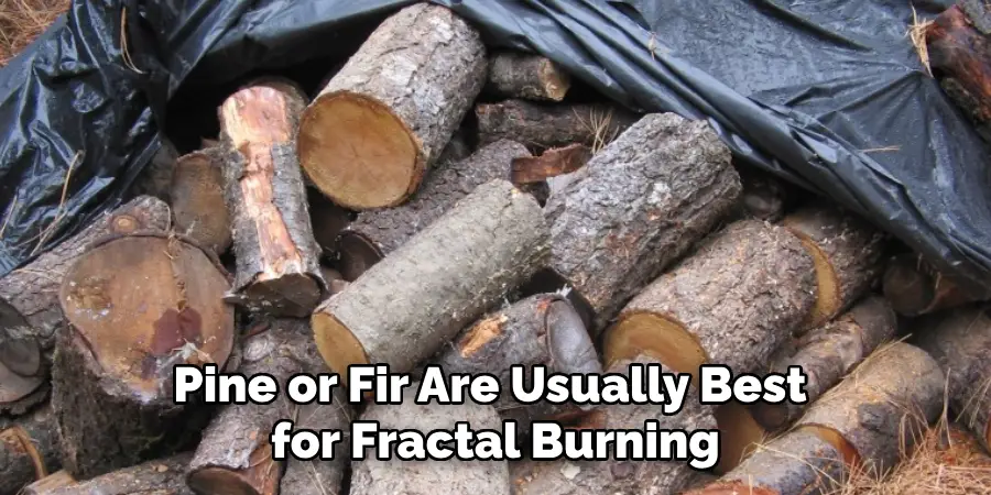 Pine or Fir Are Usually Best for Fractal Burning