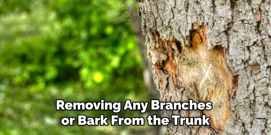 Removing Any Branches or Bark From the Trunk