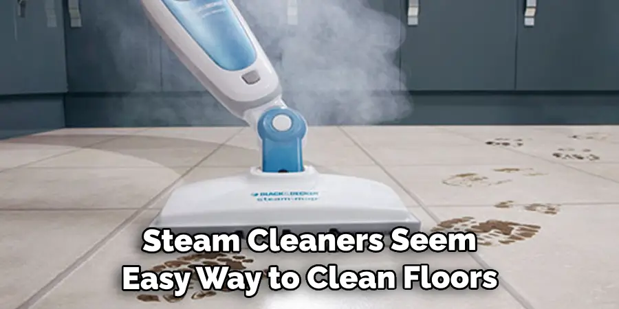 Steam Cleaners Seem Easy Way to Clean Floors