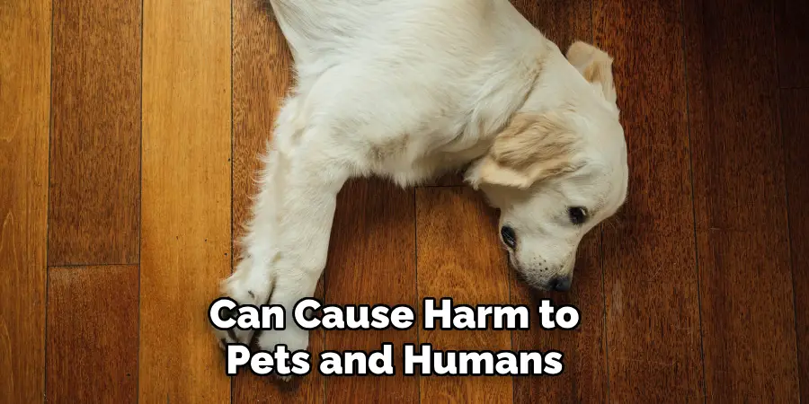 Can Cause Harm to Pets and Humans