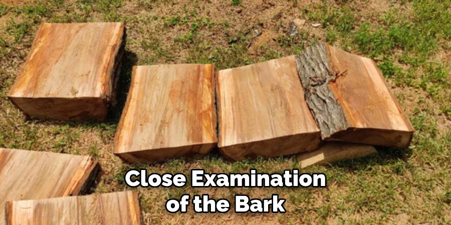 Close Examination of the Bark