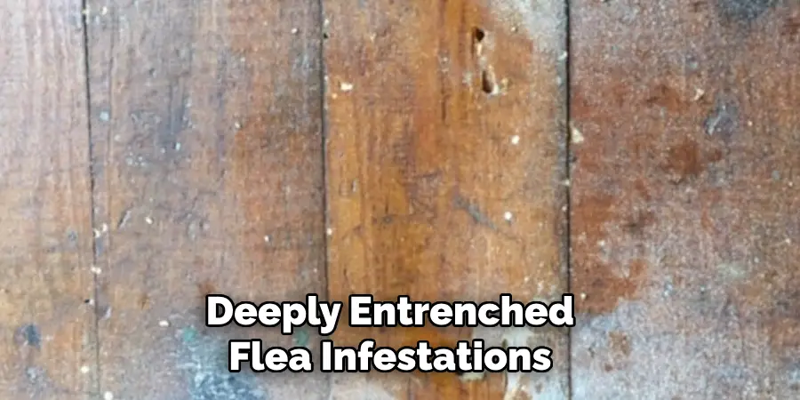 Deeply Entrenched Flea Infestations