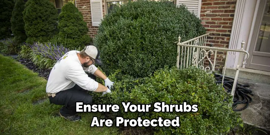  Ensure Your Shrubs Are Protected