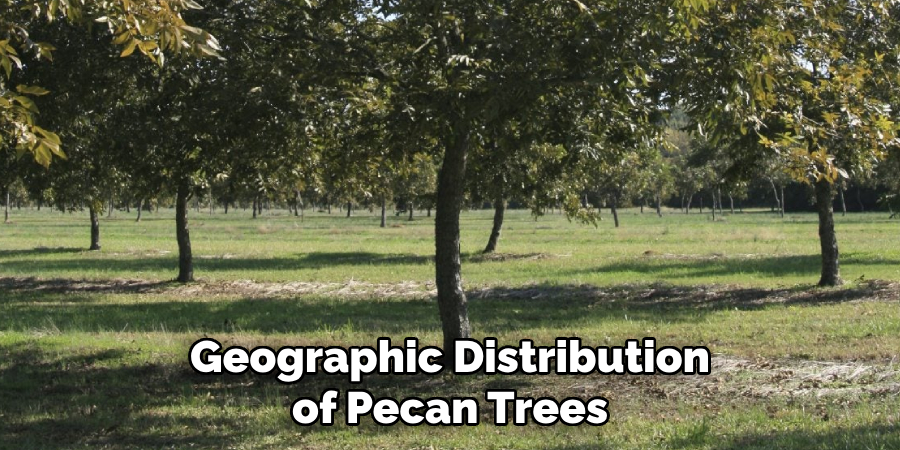 Geographic Distribution of Pecan Trees