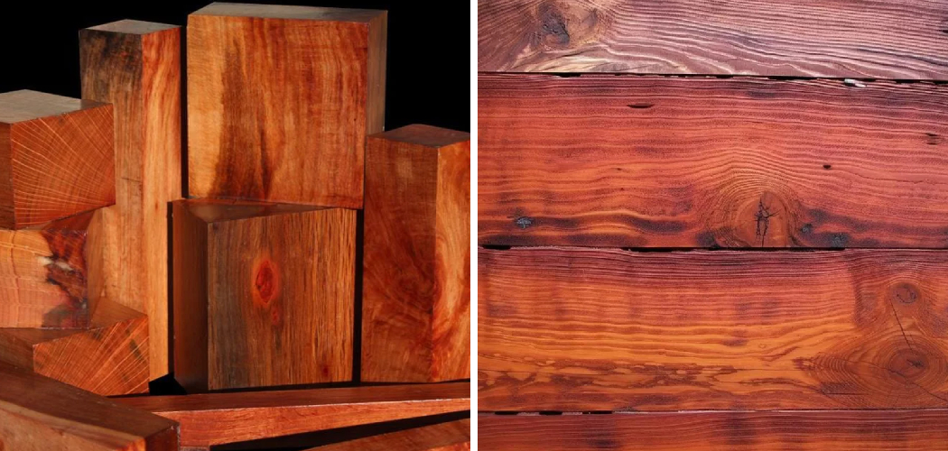 How to Identify Sheoak Wood