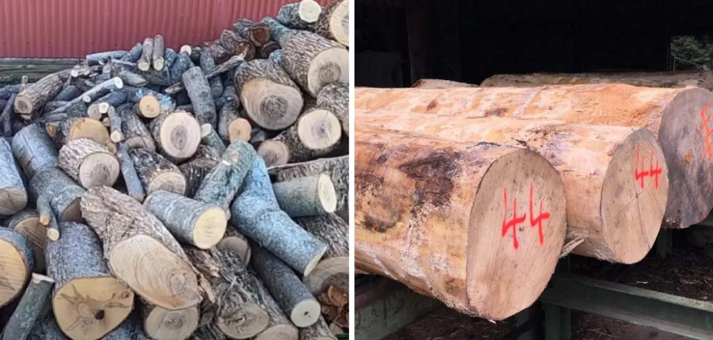 How to Season Sycamore Logs