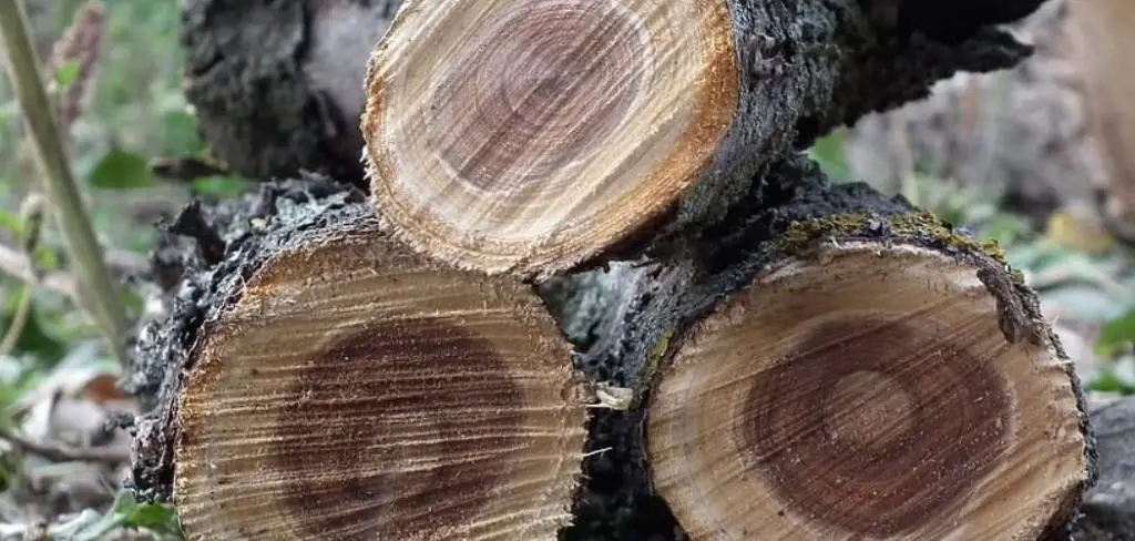 How to Use Black Locust Wood for Firewood
