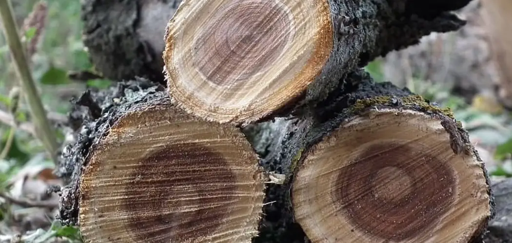 How to Use Black Locust Wood for Firewood