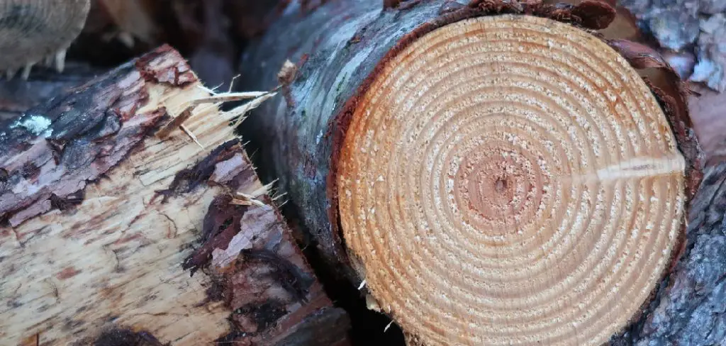 How to Use Maple Wood as Firewood