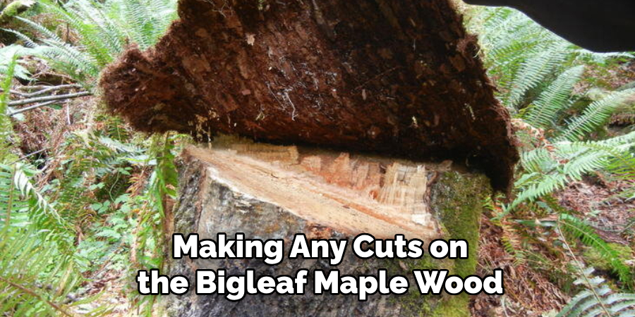 Making Any Cuts on the Bigleaf Maple Wood