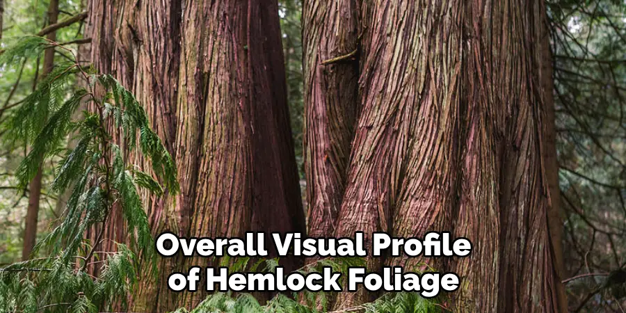 Overall Visual Profile of Hemlock Foliage