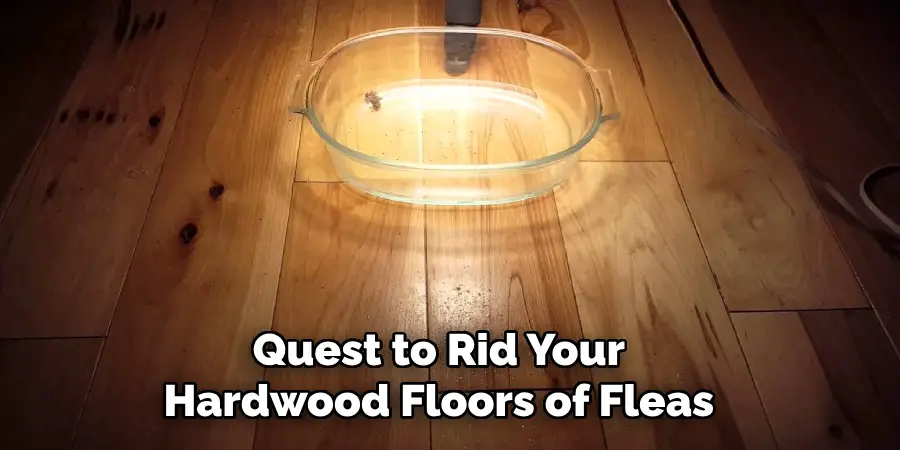 Quest to Rid Your Hardwood Floors of Fleas