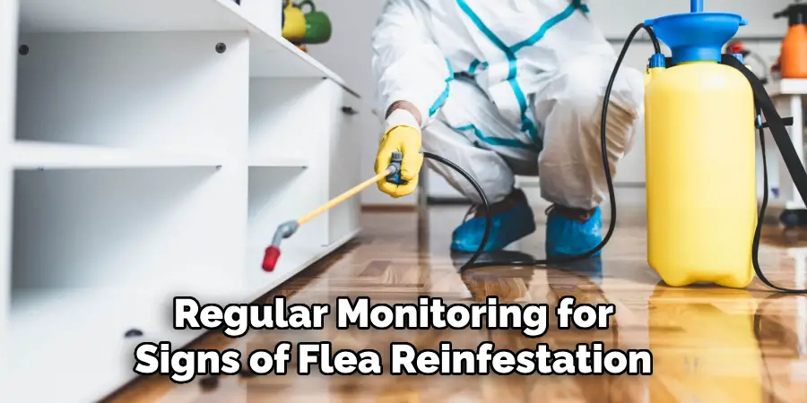 Regular Monitoring for Signs of Flea Reinfestation