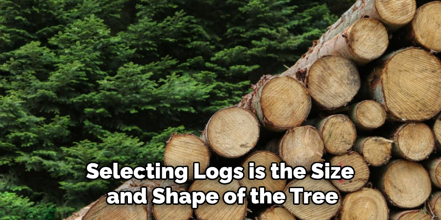 Selecting Logs is the Size and Shape of the Tree