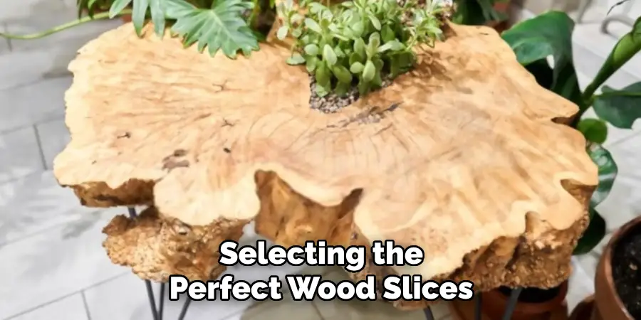 Selecting the Perfect Wood Slices