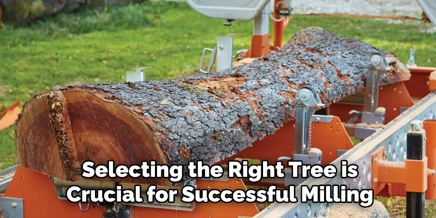 Selecting the Right Tree is Crucial for Successful Milling