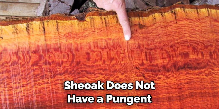 Sheoak Does Not Have a Pungent