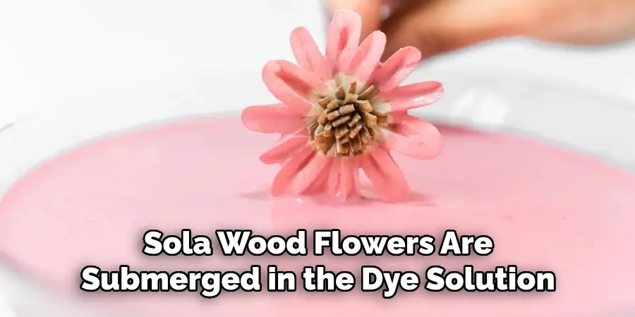 Sola Wood Flowers Are Submerged in the Dye Solution