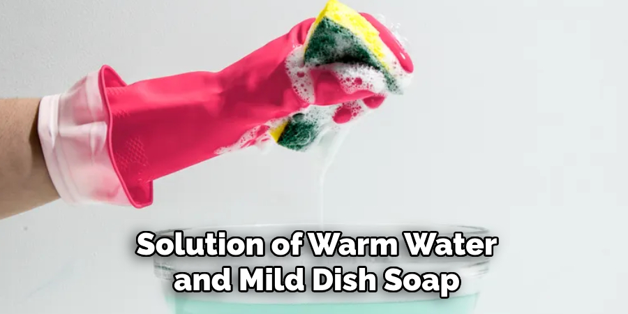 Solution of Warm Water and Mild Dish Soap