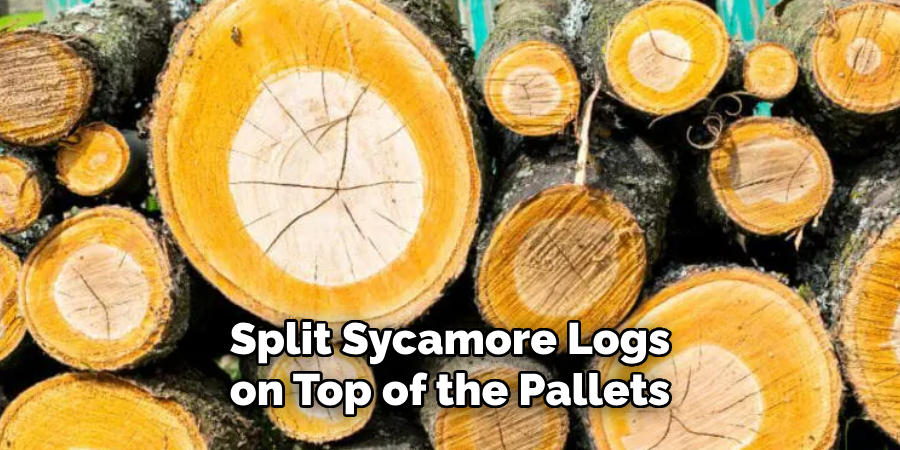 Split Sycamore Logs on Top of the Pallets