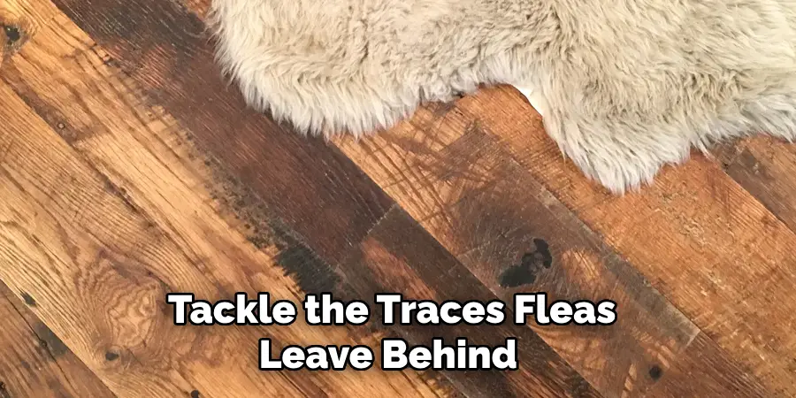 Tackle the Traces Fleas Leave Behind