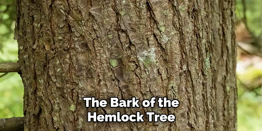 The Bark of the Hemlock Tree